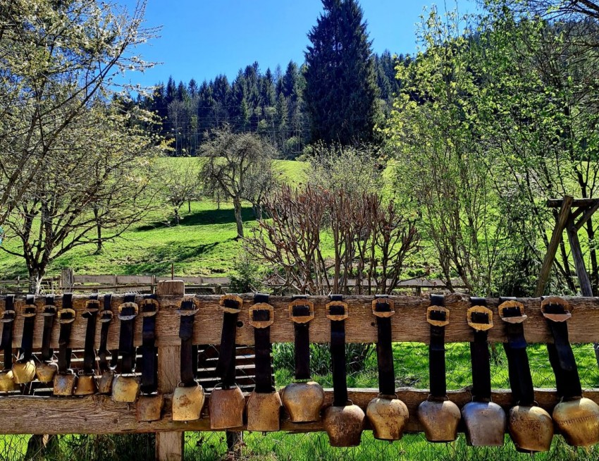 Kuhglocken h&auml;ngen am Zaun - Idyllische Alm in Obertauern