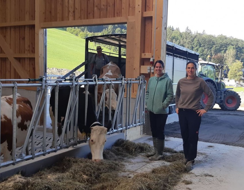 Die erste Jause im neuen Stall