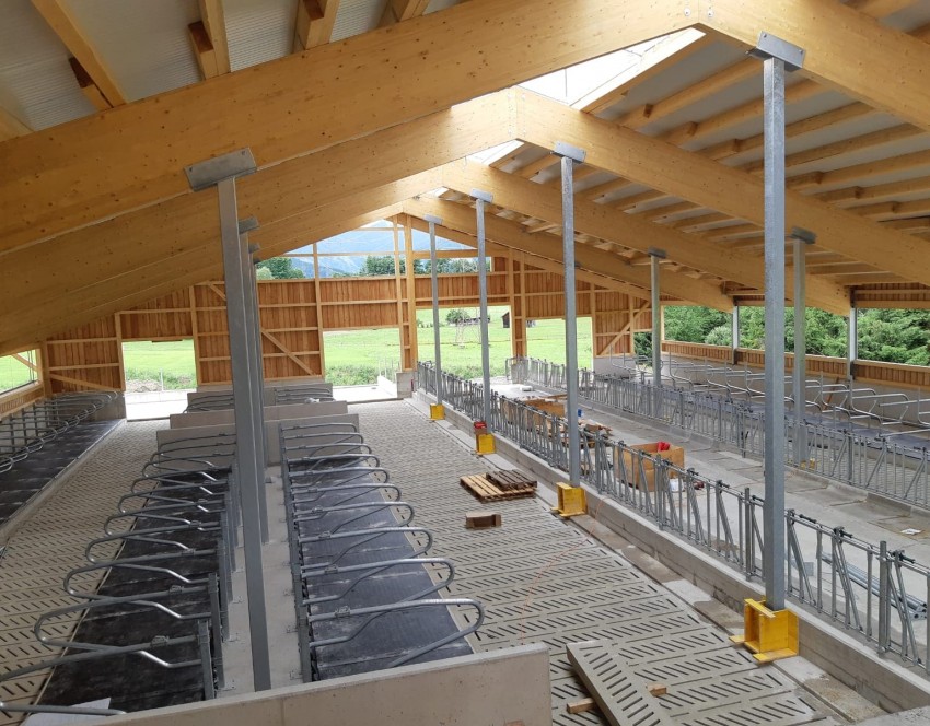 Rinderlauf-Stall für Milch- und Mastjungrinder sowie Kälber mit dem Ausmaß für ca. 116 Stück Fleck-Vieh.