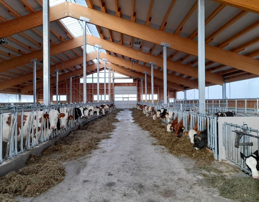 Herzlich willkommen im neuen Stall