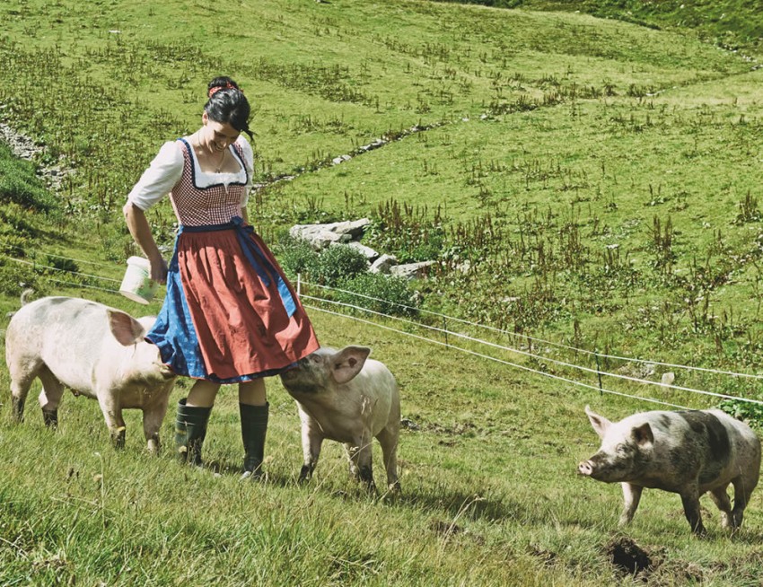 Gastgeberin mit den Schweinen auf der Alm