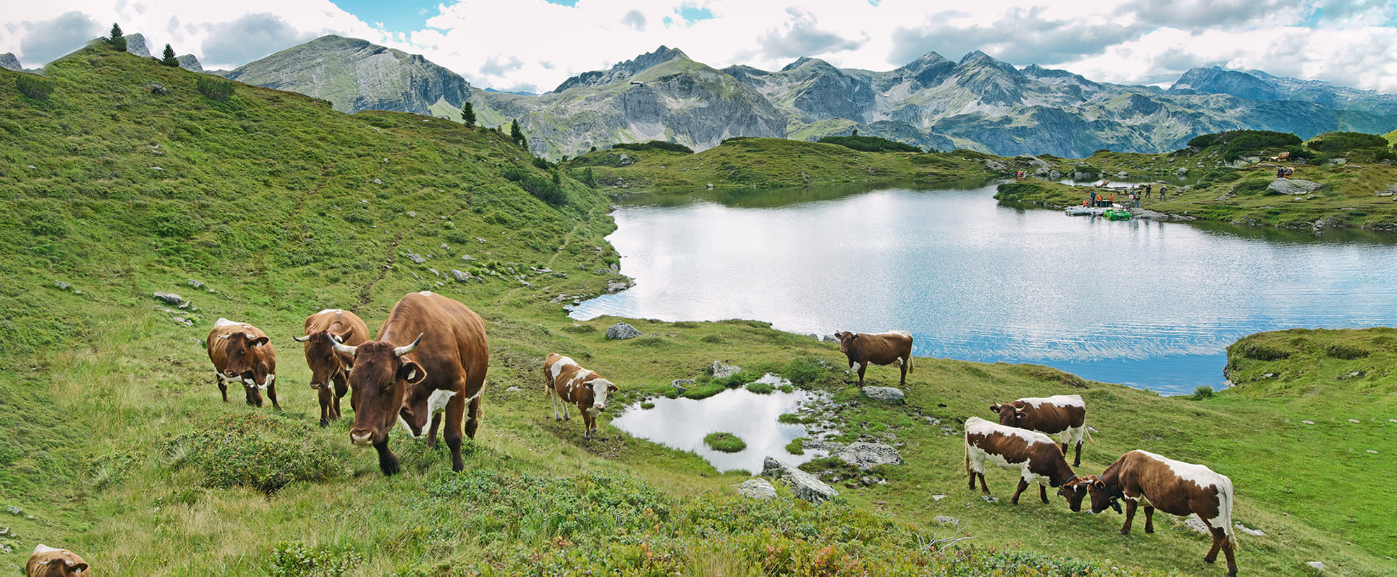Produkte aus der eigenen Landwirtschaft in der Dikt'n Alm in Obertauern
